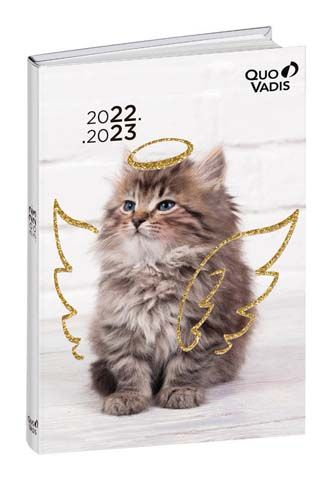Calendrier 2024 FANTAISIE 27X21 animaux par 10 - Quo Vadis 